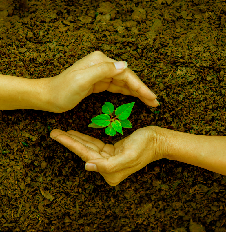 manutenzione_verde